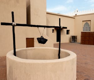 pexels-frans-van-heerden-201846-16613061