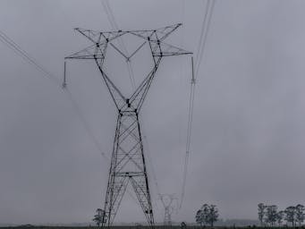 pexels-guiirossi-16868621