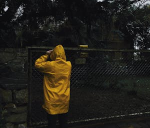 pexels-guiirossi-1755673