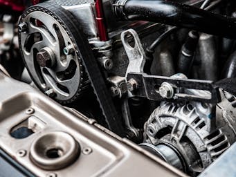 pexels-hebertsantos-37572261