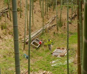 pexels-hugosykes-27666764