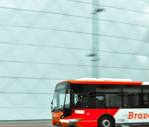 pexels-imjimmyqian-2085503