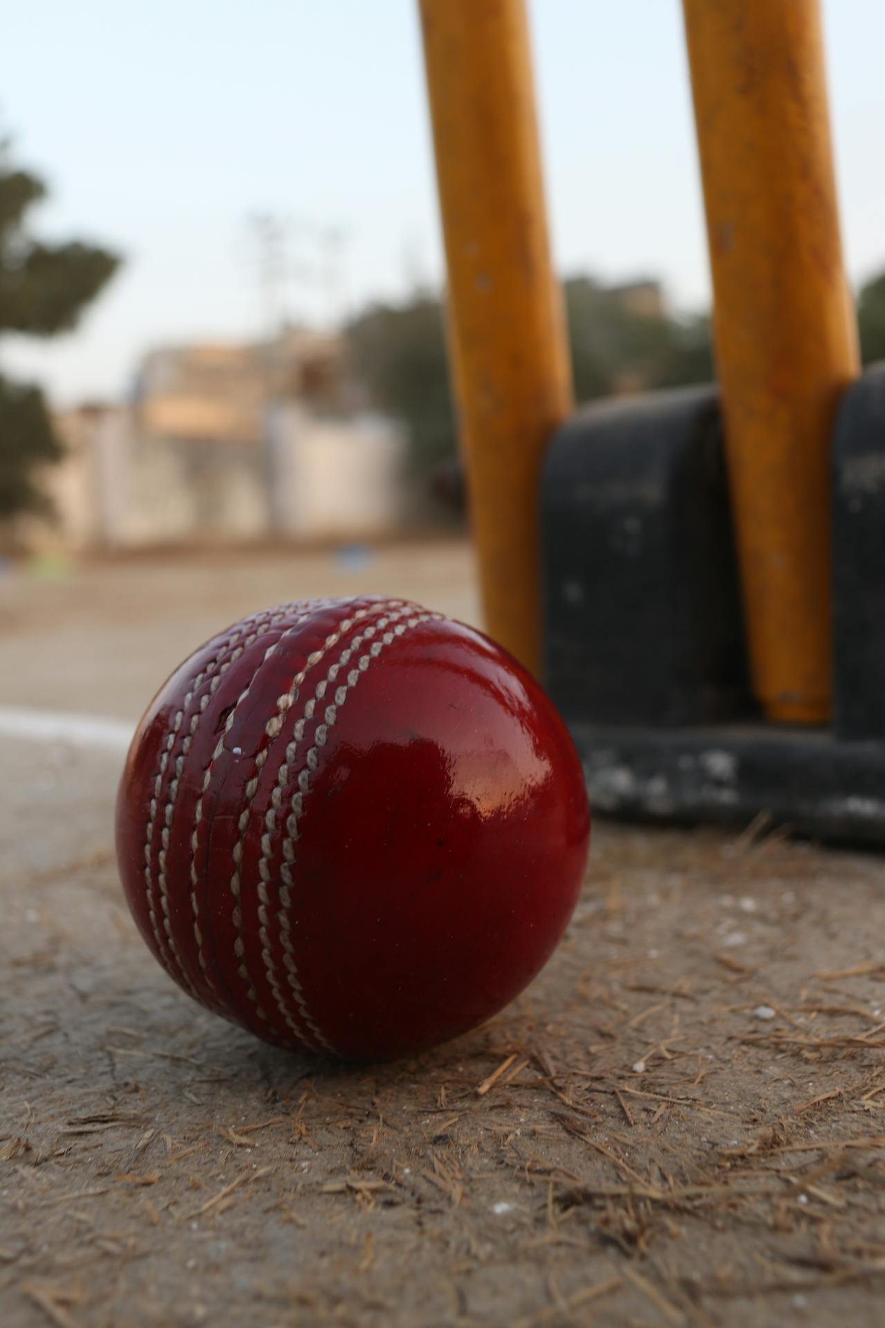 pexels-imtiazahmed-20652472