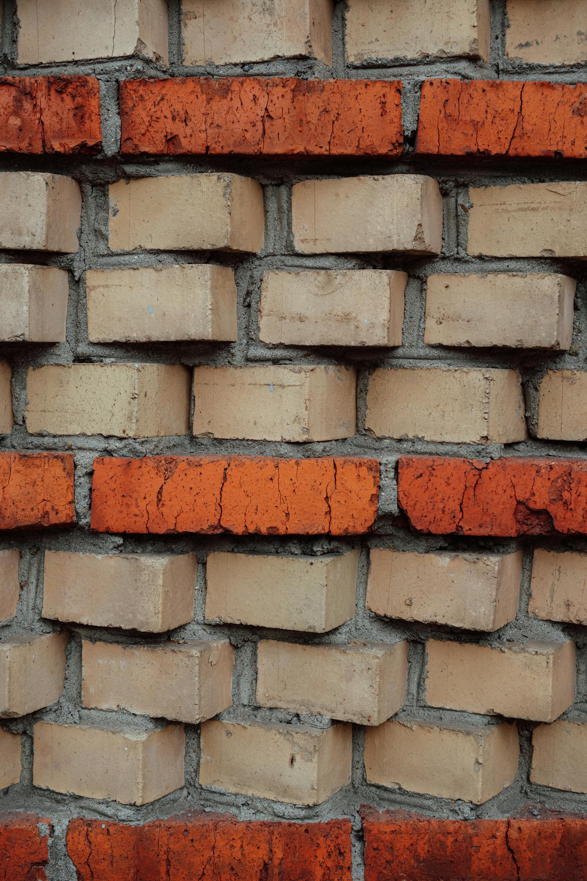 pexels-irina-zhur-5306735-9977319