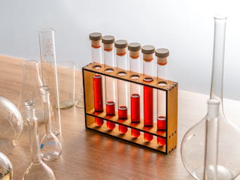 pexels-ivan-samkov-9629695