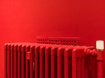 pexels-jan-van-der-wolf-11680885-11056184