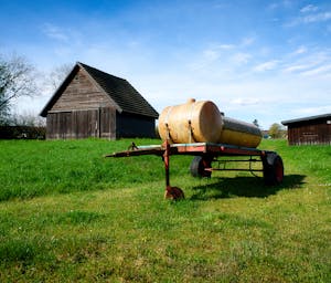 pexels-joerg-hartmann-626385254-30914385