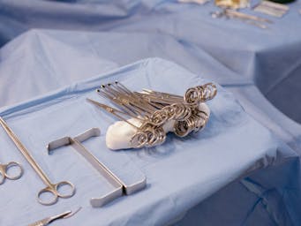 pexels-jonathanborba-28727572_(1)