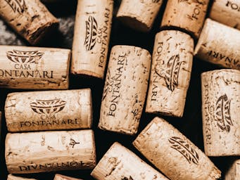 pexels-jonathanborba-5359802