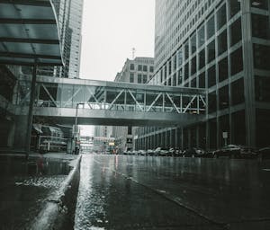 pexels-josh-hild-1270765-2524368