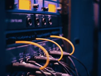 pexels-joshsorenson-1054397