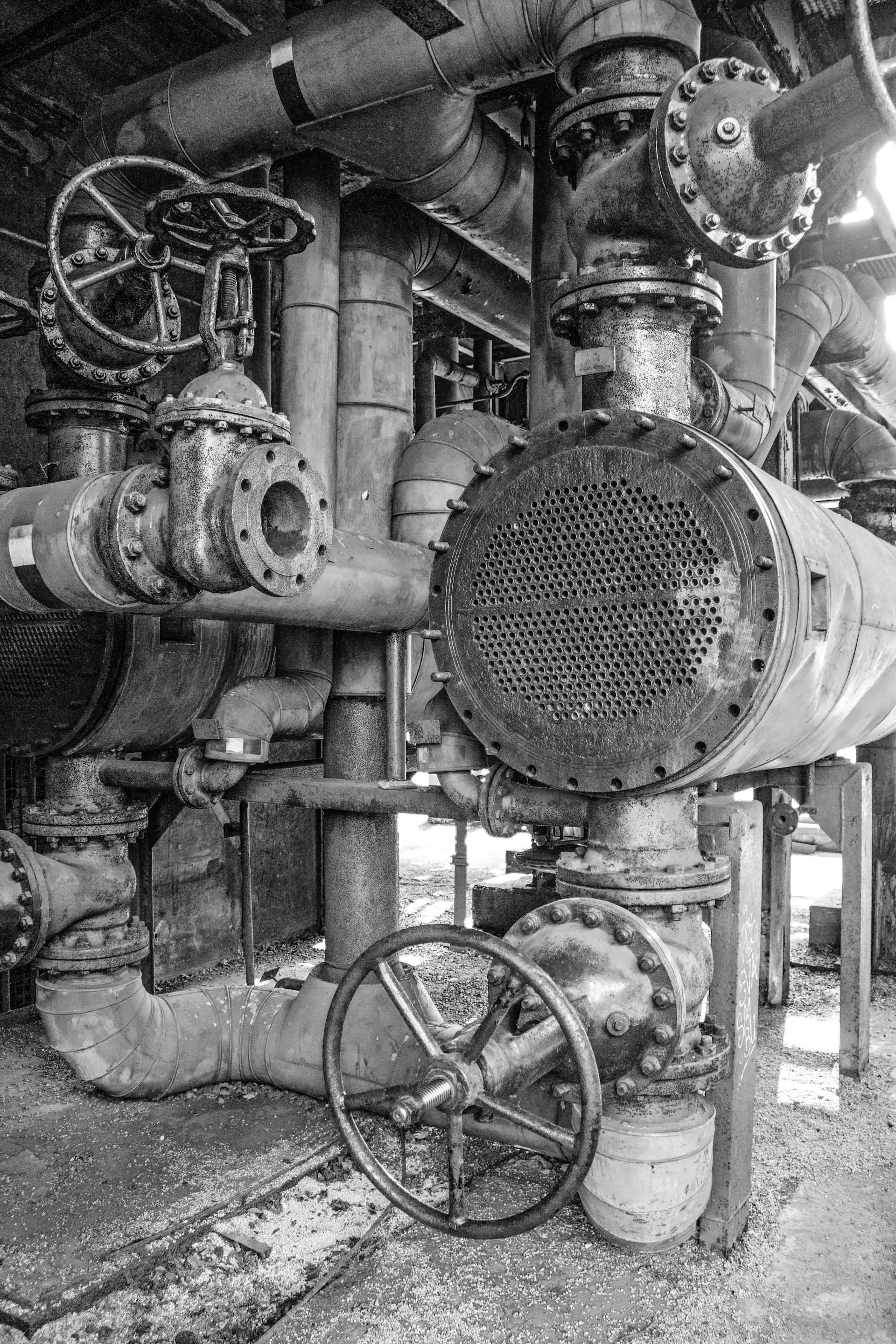 pexels-julia-fuchs-19936537-6923526