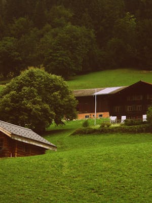 pexels-karan-sharma-315859-900097