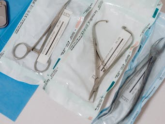 pexels-karolina-grabowska-6627704