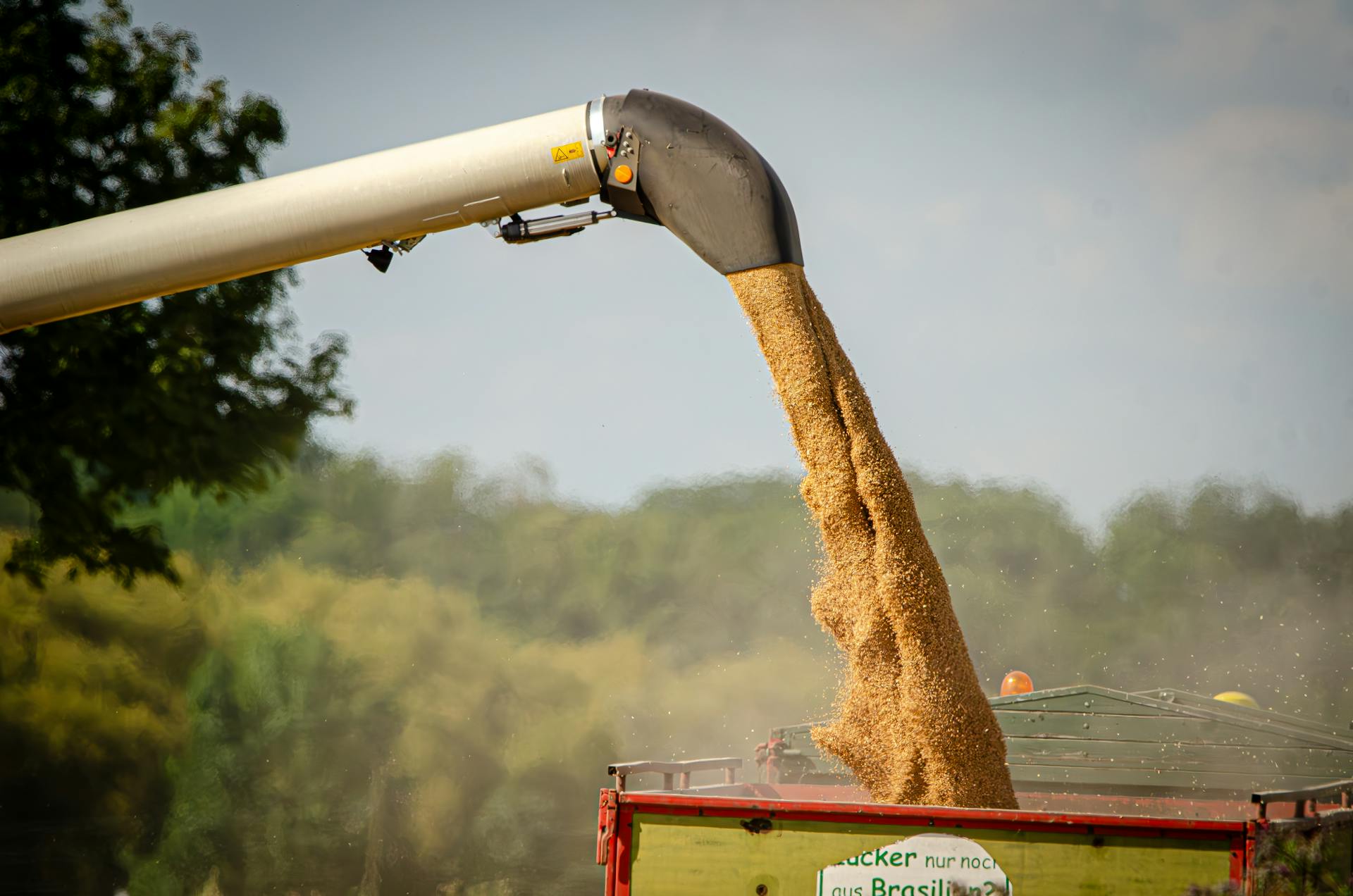 pexels-leon-aschemann-734730704-27420256