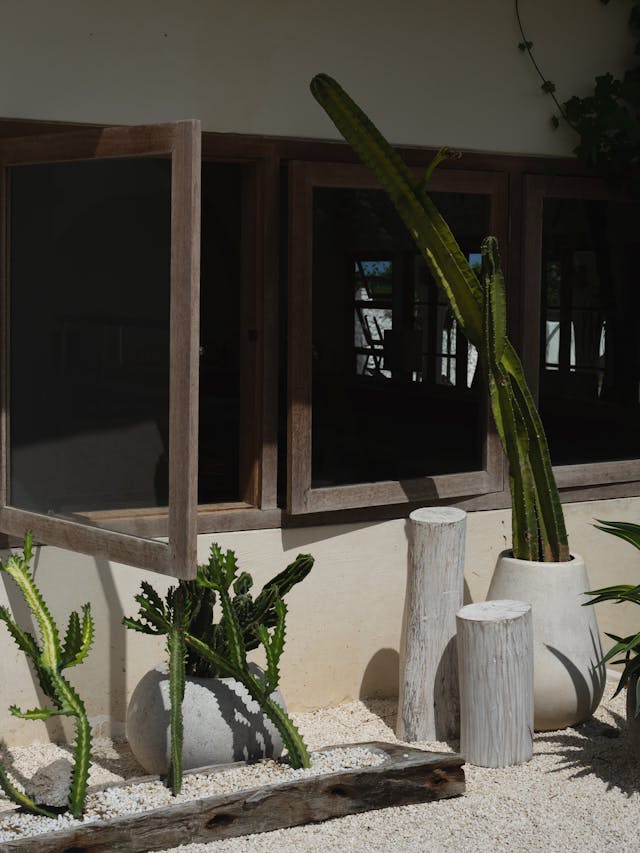 pexels-lesse-studio-359545632-14828042