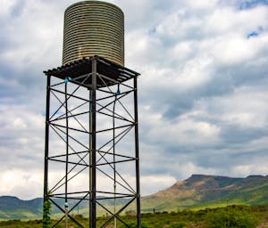 pexels-magda-ehlers-pexels-5767054