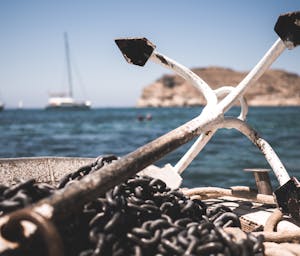 pexels-manuschke-811440_(1)