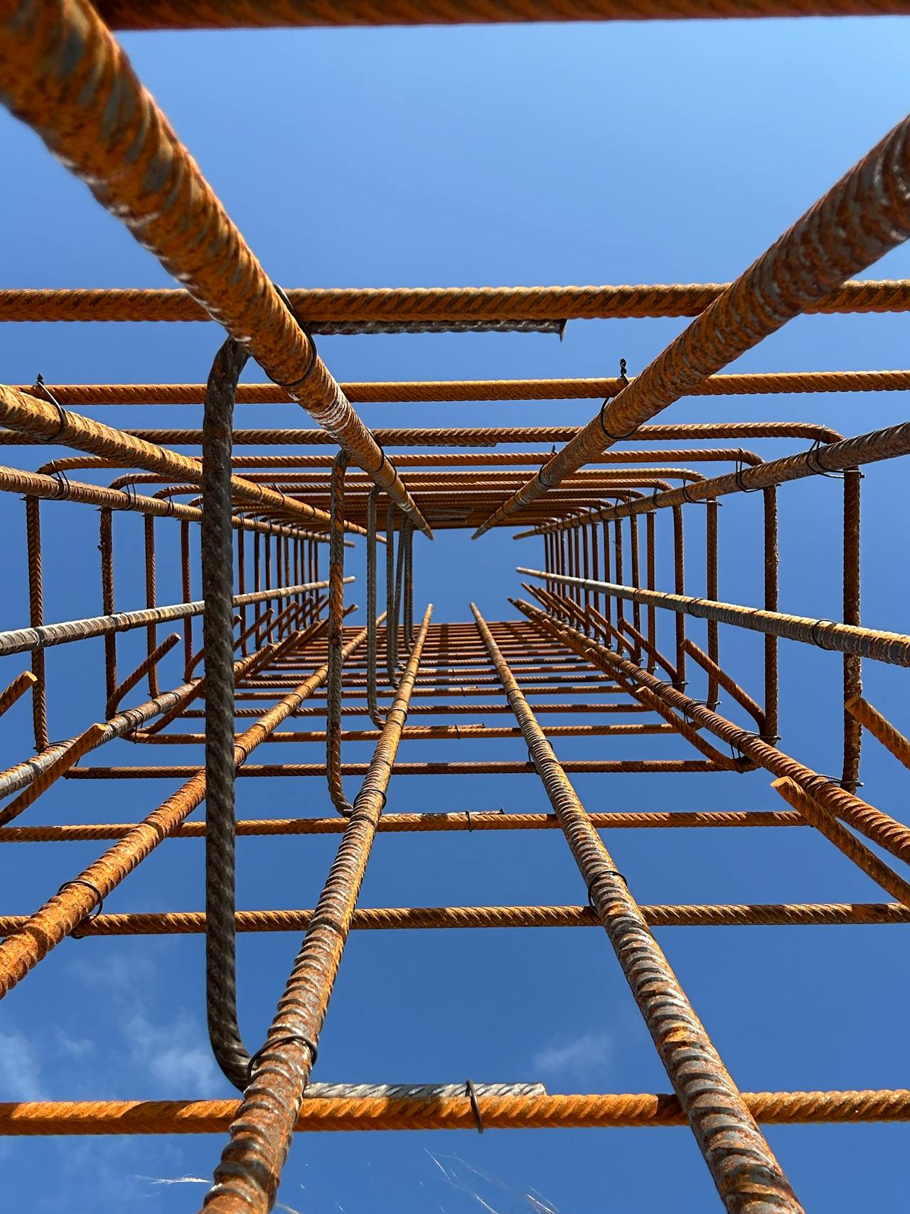 pexels-maren-ferraro-3055534-29299824