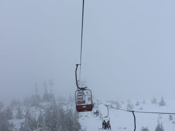 pexels-maria-maria-746890325-31726916