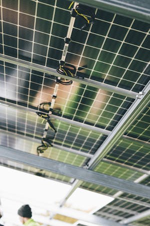 pexels-markusspiske-14384697