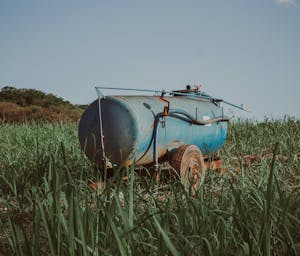 pexels-mateus-soares-120535445-10065130