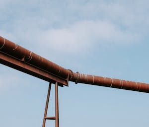 pexels-matreding-12069483