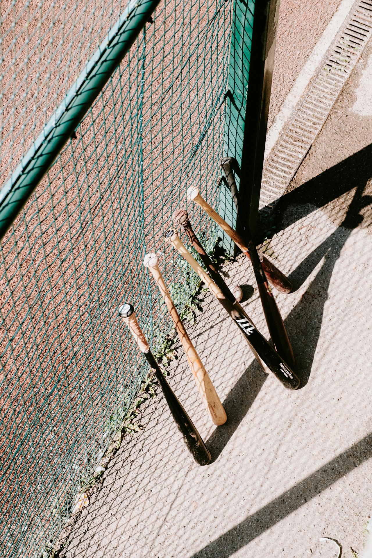 pexels-matreding-18618017