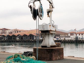 pexels-matreding-20385937