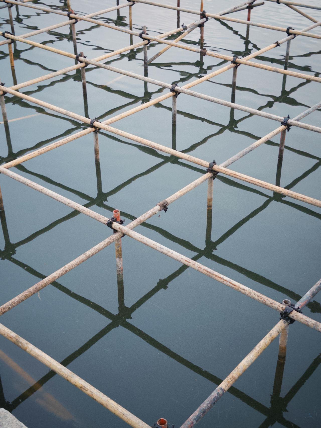 pexels-minglong-lin-794878755-27057522