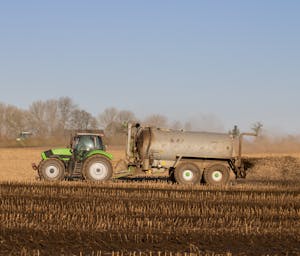 pexels-mirkofabian-11996945