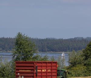 pexels-mirkofabian-12495783