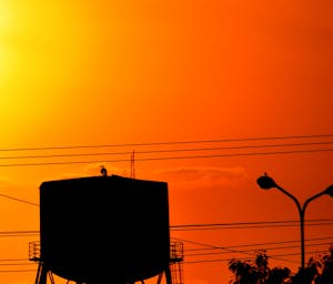 pexels-monica-escalera-235377717-13353463