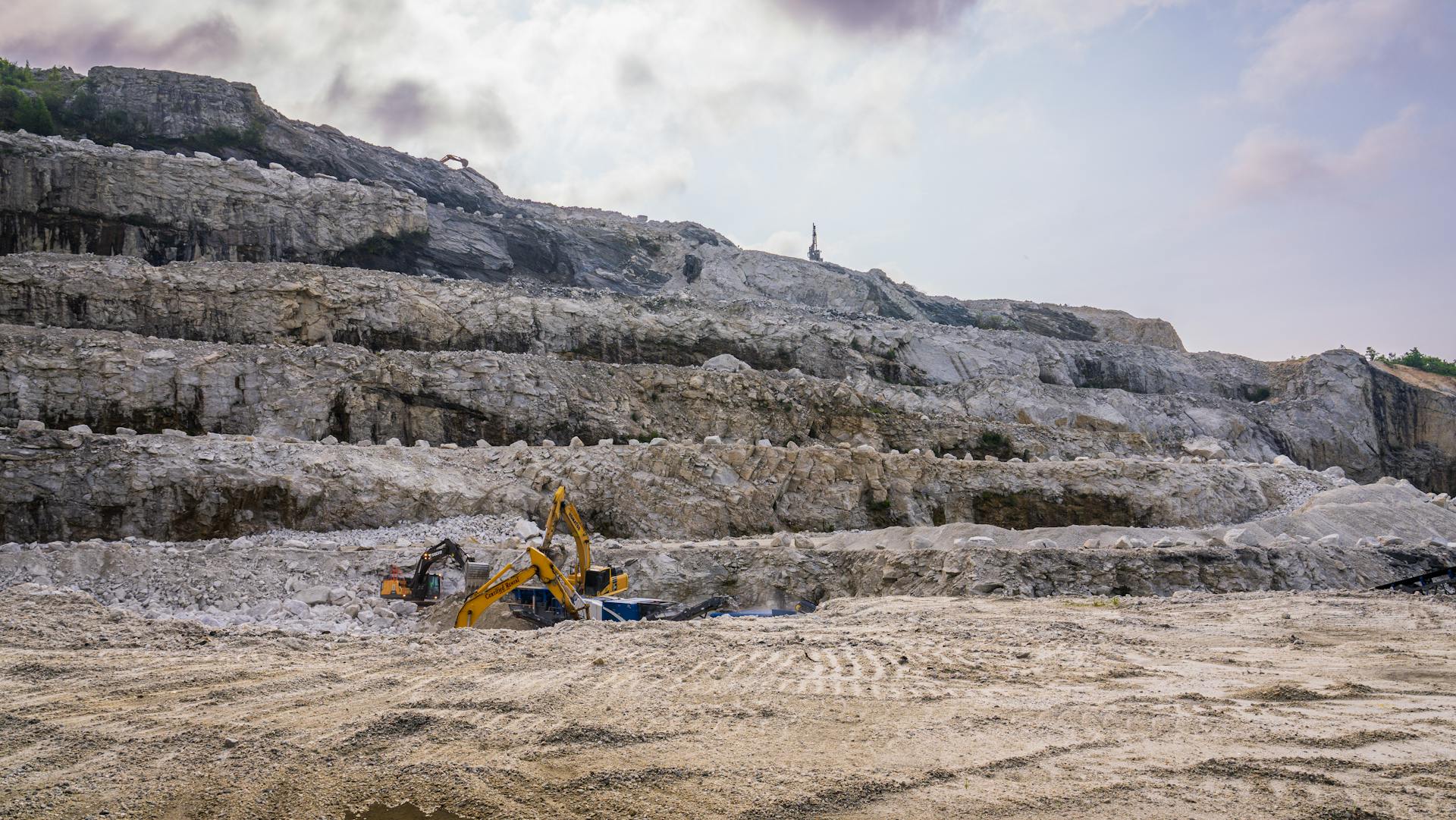 pexels-nc-farm-bureau-mark-17146231