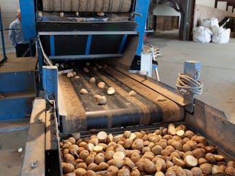 pexels-nc-farm-bureau-mark-2889199