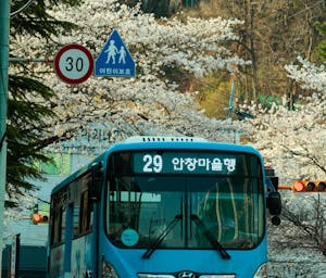 pexels-nezaket-2150013581-31442699