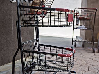 pexels-ninobur-16989513