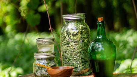 pexels-nora-brody-1241785370-23512149