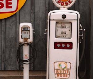 pexels-paige-thompson-313369049-13990659