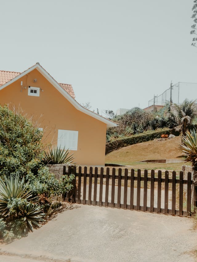 pexels-patricia-englemam-1459005891-33525918