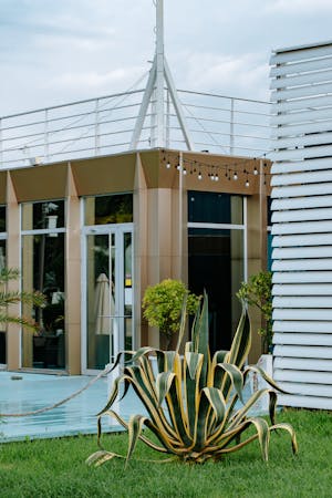 pexels-paul-14143744