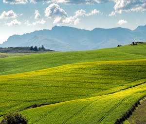 pexels-pixabay-259280