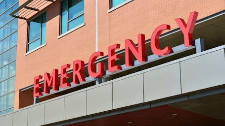 pexels-pixabay-263402