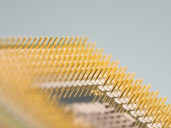 pexels-pixabay-270549