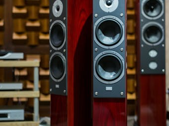 pexels-pixabay-373638