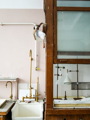 pexels-polina-tankilevitch-3735724