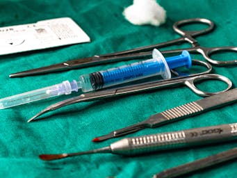 pexels-prashant-singh-243774909-12351696_(1)