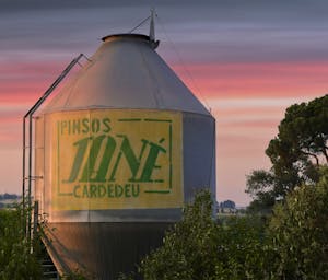 pexels-punttim-8983798