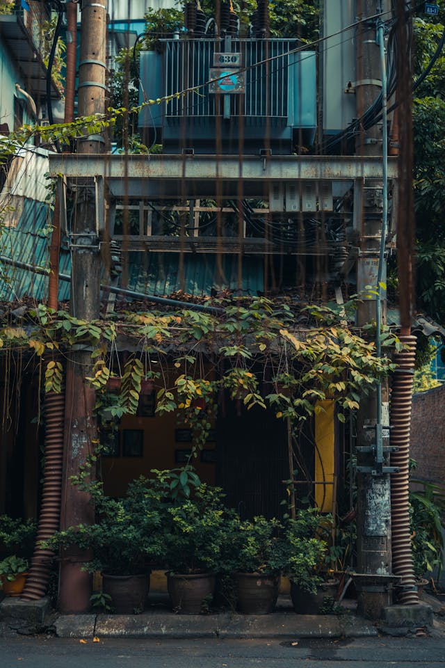 pexels-quang-minh-197679900-11520934