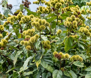 pexels-quang-nguyen-vinh-222549-14776835